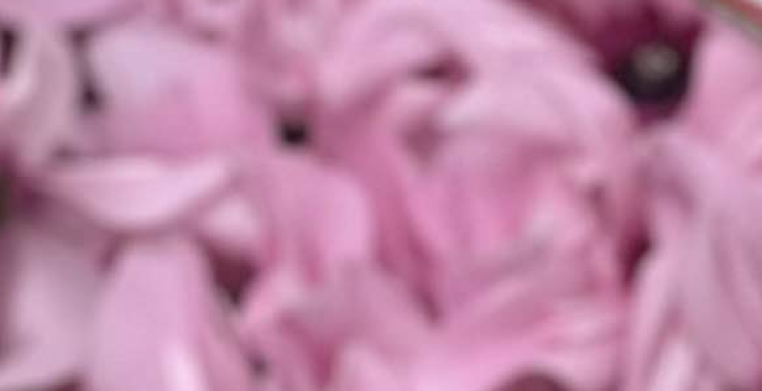 オフィスを彩る美しい・・