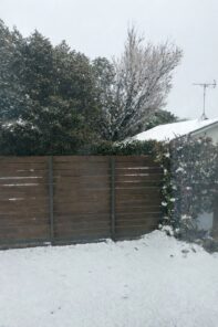 鹿児島にも積雪⛄